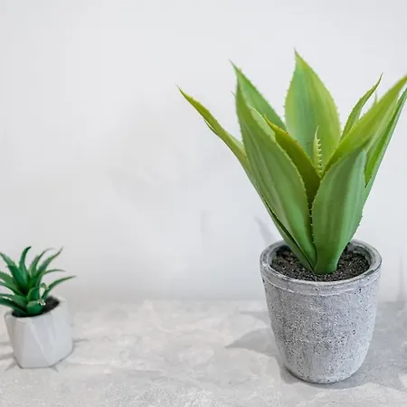 アパート Location 2-bedroom