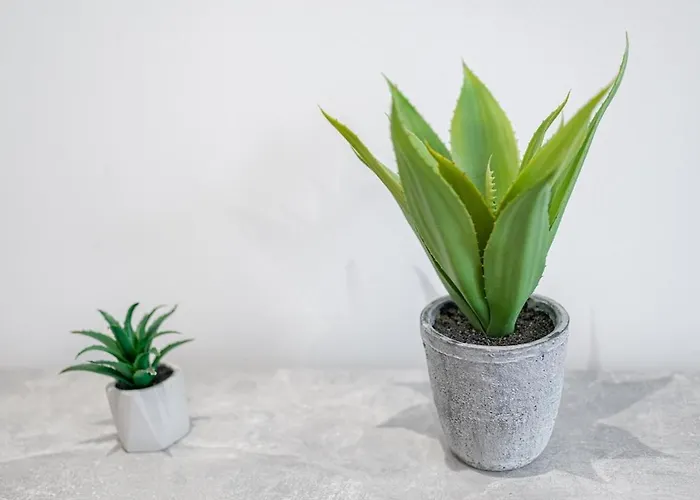 アパート Location 2-bedroom